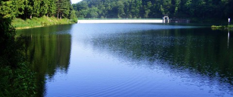 PIEMONTE, LAND OF LAKES, WINE & TRUFFLES