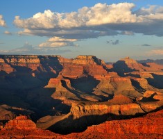 Amazing tour to the Grand Canyon & Las Vegas